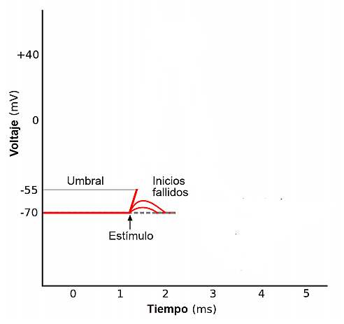 RECEPCIÓN DE ESTÍMULO