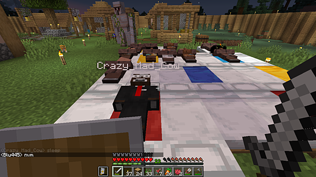 Bed Controversy at Woree