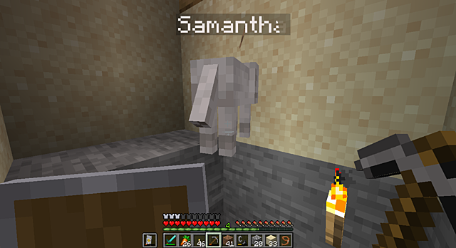 Samantha Hanged