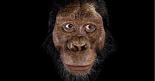 AUSTRALOPITHECUS, HACE 4 MILLONES DE AÑOS