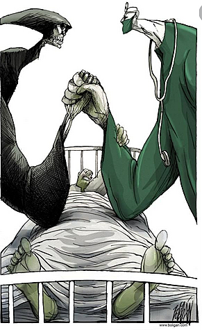 The facts in the case of MR Valdemar - 2