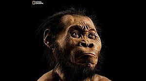 HOMO, HACE 3 MILLONES DE AÑOS