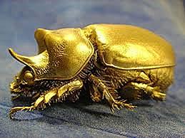 THE GOLD BUG