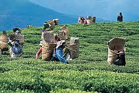 Politica di riforma terriera contro la povertà