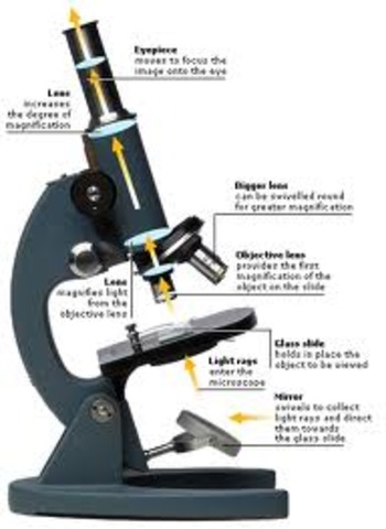 Optical Microscope