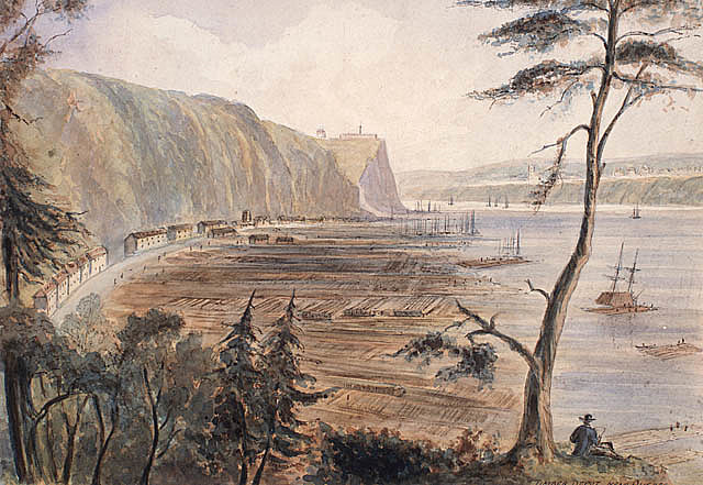 Début essor commerce du bois