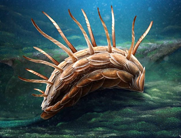 Hace 540 millones de años