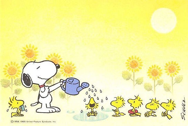 la caricatura Actual