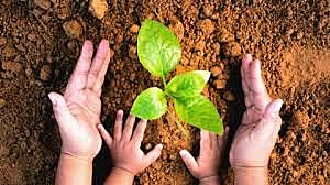 Decreto 1743 de 1994