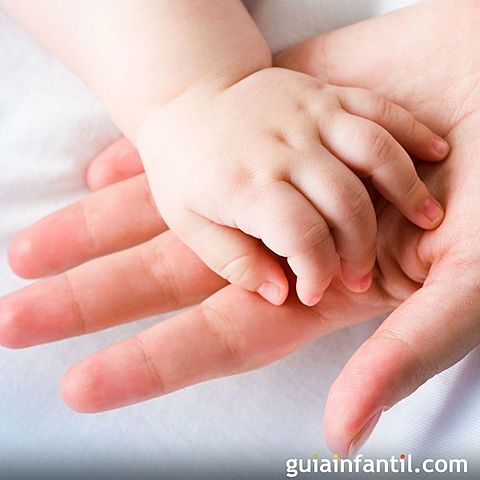 My Birth (Sebastian Porras Chavira)