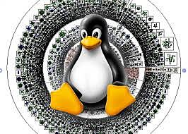LINUX