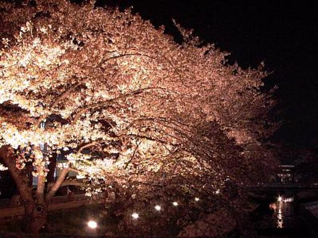 beginning of heian period