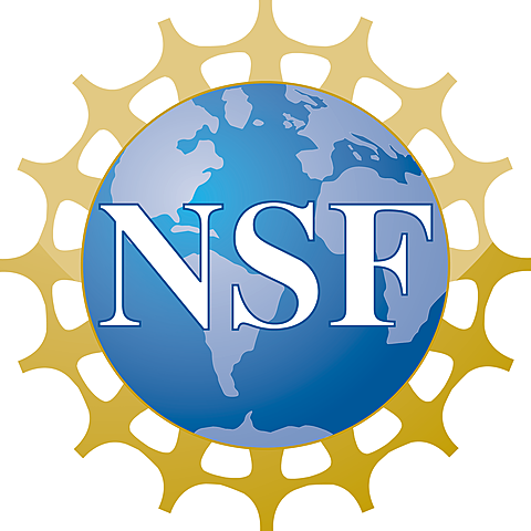 La National Science Foundation (NSF)