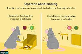 Operant conditioning