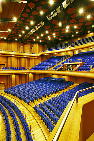 Džässkitarrist Lee Ritenour