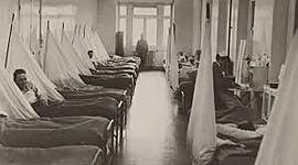 Timeline: Pandèmies i epidèmies