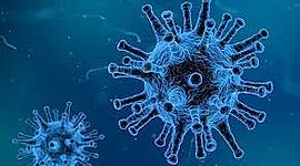 Timeline: Pandèmies al llarg de la història