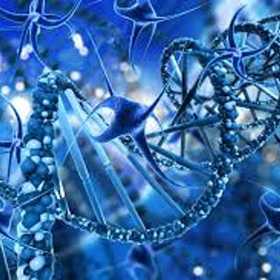 Timeline: Historia de la genética.