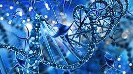 Timeline: Historia de la genética.