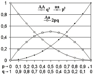 Ley de Hardy-Weinberg.