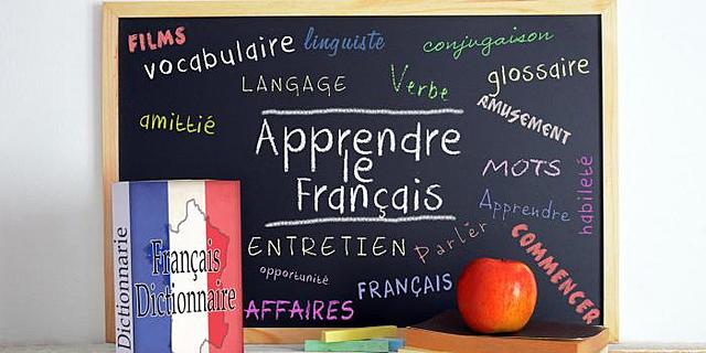 Elaboración de material didáctico