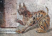 La expansión por el mundo