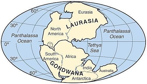 UN NOU CONTINENT: GONDWANA I LA CAPA D' OZÓ