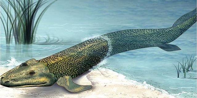 LA NOVA VIDA TERRESTRE