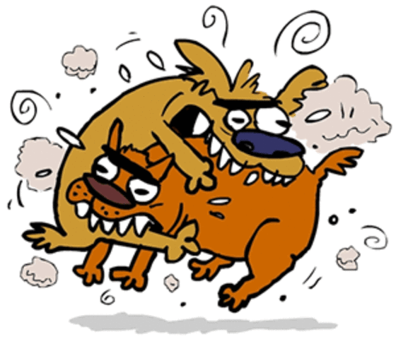 Inicio de conflictos con Perú