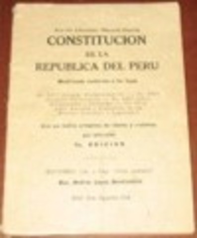 Nueva constitucion