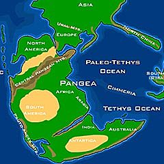 PANGEA ES FRAGMENTA I EL PETROLI