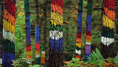 El bosque de Oma - Agustín Ibarrola