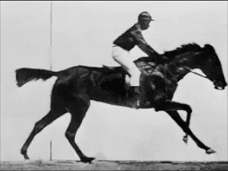 First "Motion Picture"