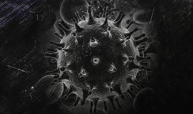 DESCUBRIMIENTO DEL VIRUS