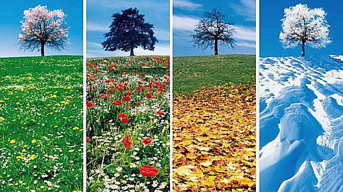 Las Estaciones del Año