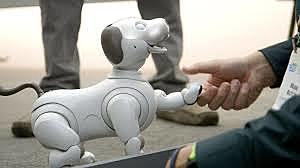 Sony lanza el perro robot Aibo, la primera mascota robótica con habilidades y personalidad que se van desarrollando con el tiempo.