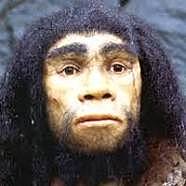 homo heidelbergensis