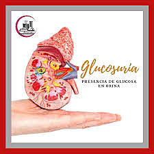 Dalson - Glucosuria