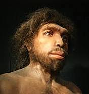 Homo rhodesiensis