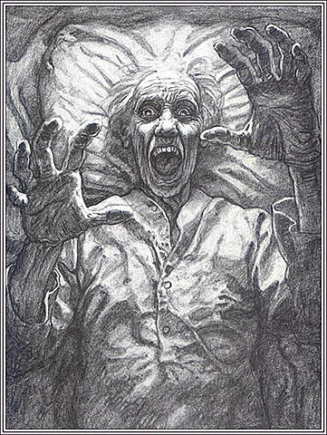 The facts in the case of MR Valdemar (Part 3)