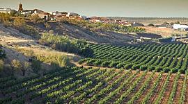 Timeline: La ganadería extremeña.