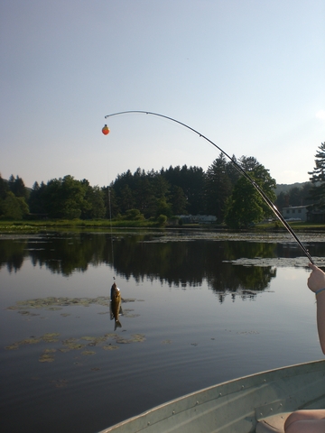 You caught your first fish