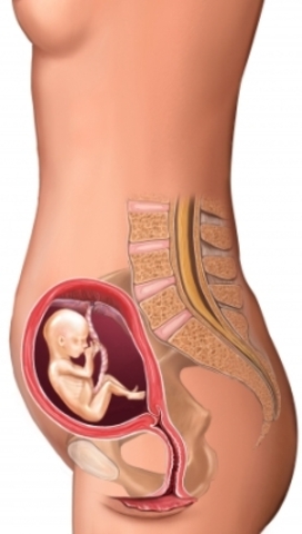 Mikey gets Martine pregnant