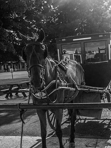 3 - Homer Barron Arrives