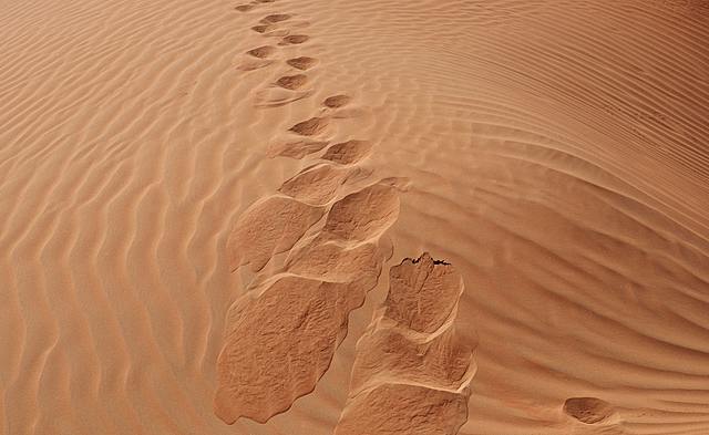 9 - Homer Returns & Disappears