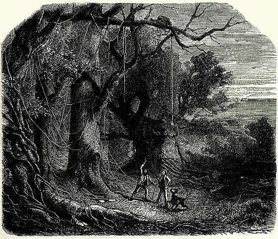 The gold bug (Part 3)