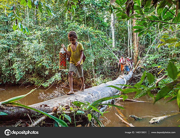 Bridges made from fallen trees