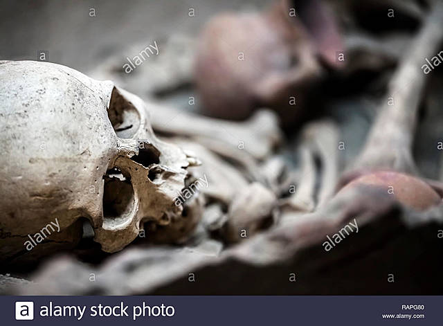 The facts in the case of Mr Valdemar