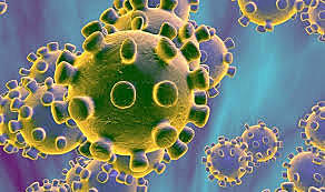 Se confirma un nuevo tipo de coronavirus.