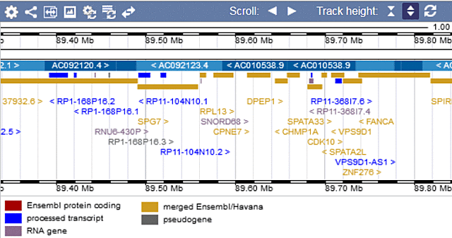 Demostración que el ADN puede ser un medio computacional.
